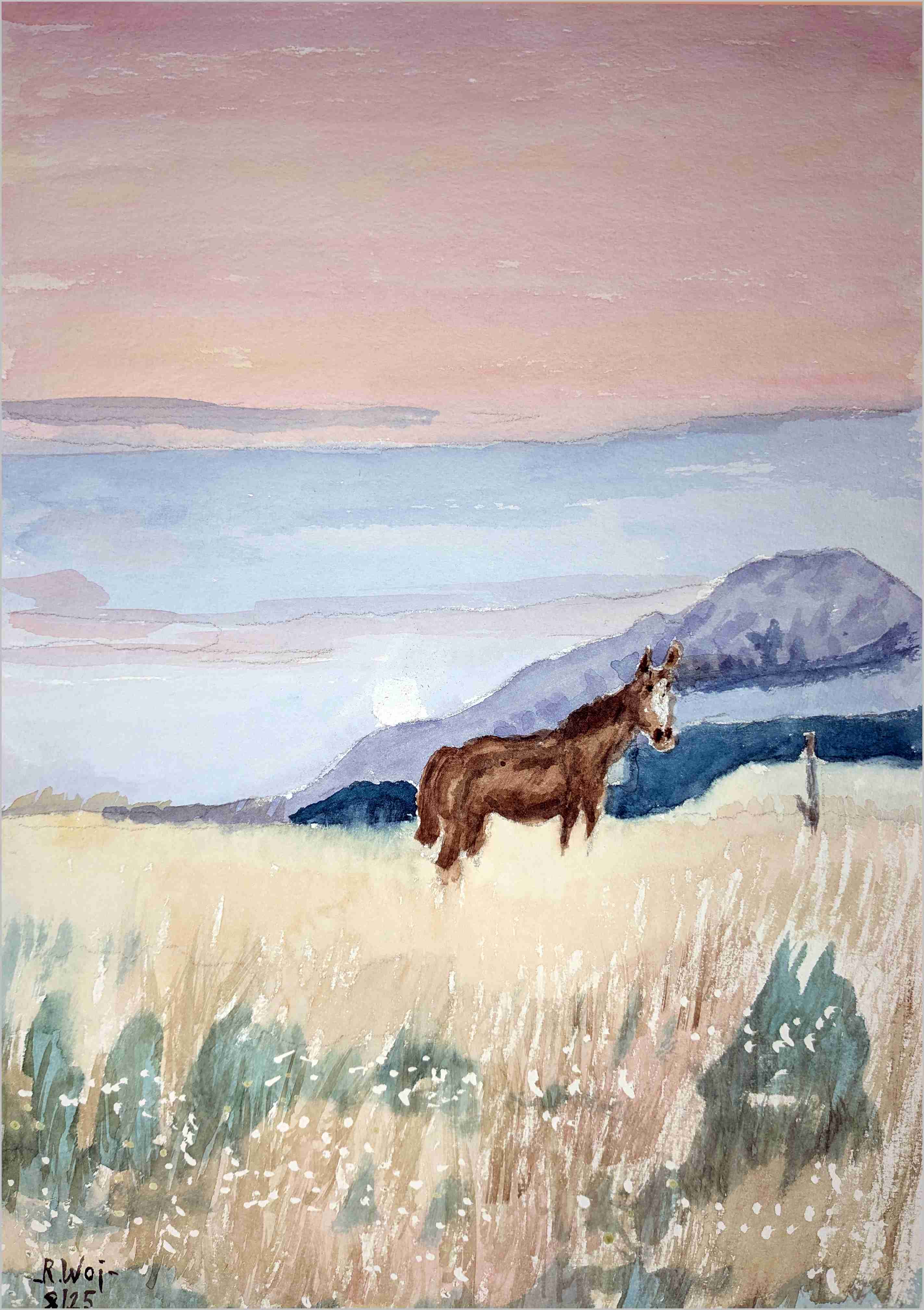   Pferd in der Steppe